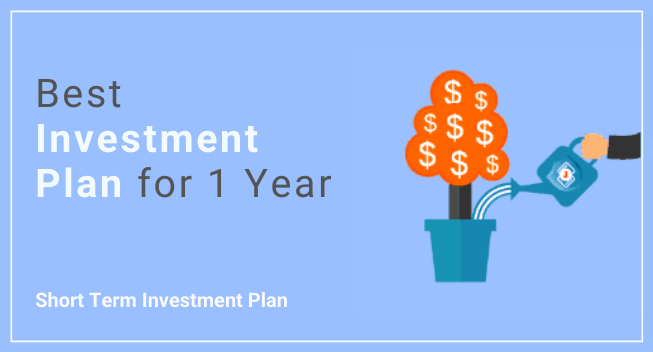 Investment Plan for 1 Year